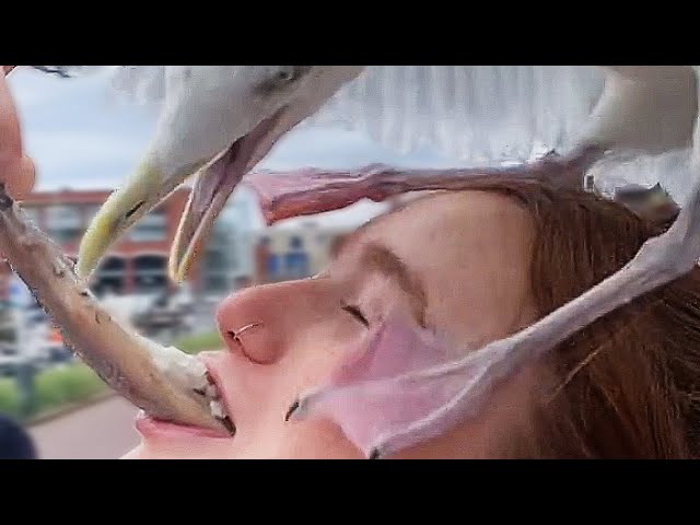 UNUSUAL MEMES COMPILATION V209