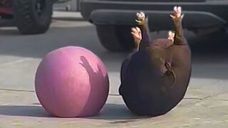 UNUSUAL MEMES COMPILATION V206