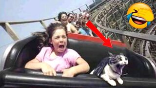 Funny Animal Videos 2022