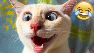Funny Animal Videos 2022