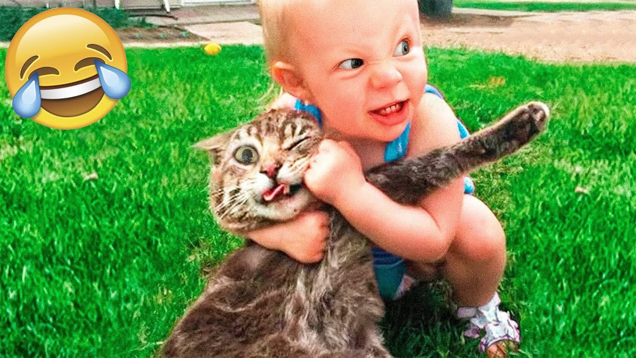 Funny Animal Videos 2022 