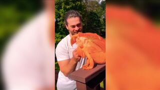 Funny Animals