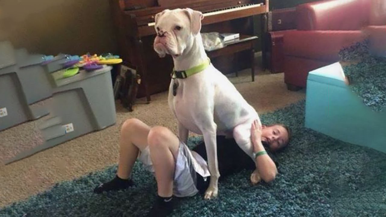 Funniest Animals 
