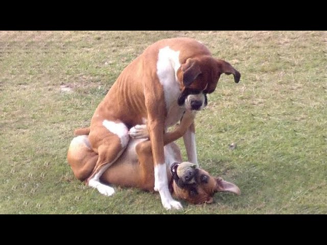 Laugh out loud 
