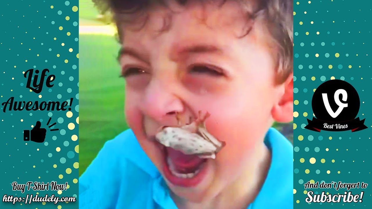 Try Not To Laugh Funny Videos - Bad Fails Make You Laugh All Day