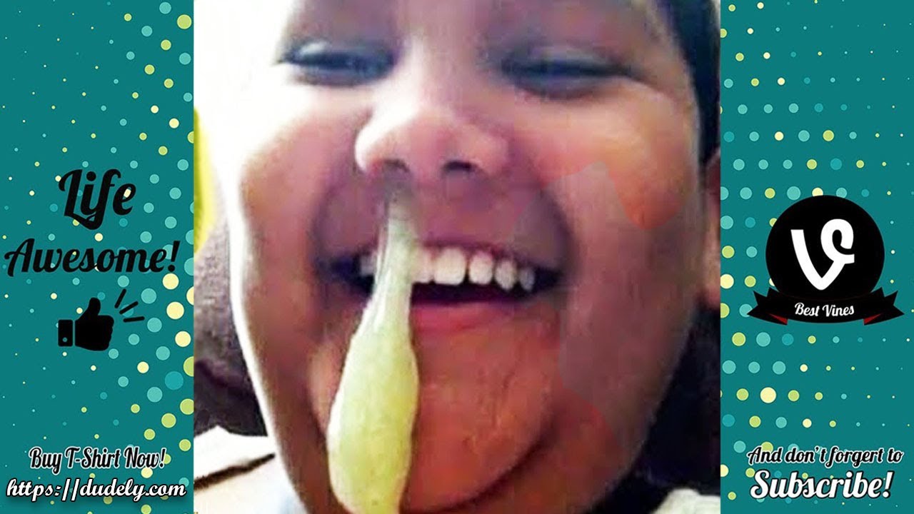 Try Not To Laugh Funny Videos - Funniest Moments Fails Ever