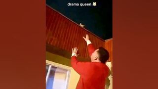 Queen cat
