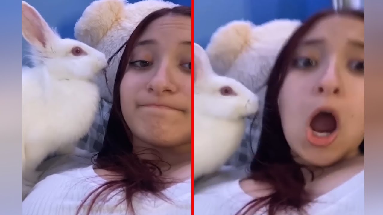 Instant Regret 