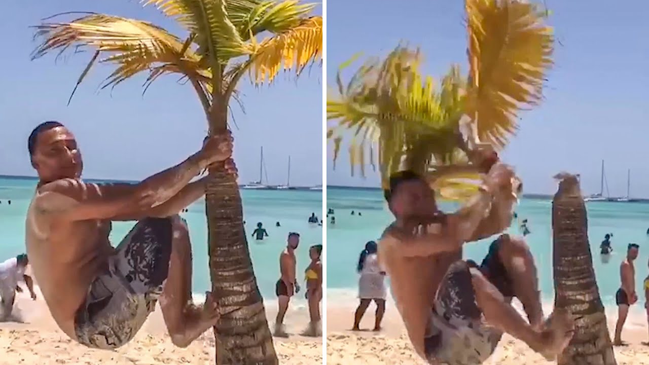 TRY NOT TO LAUGH WATCHING FUNNY FAILS VIDEOS 2022 #234