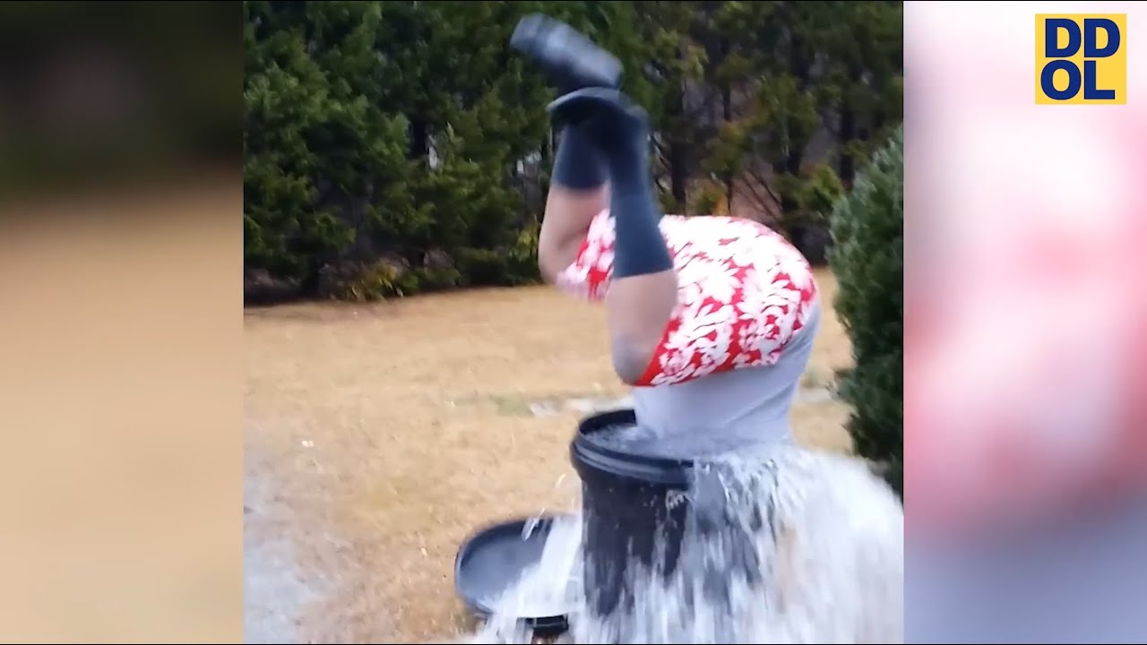 TRY NOT TO LAUGH WATCHING FUNNY FAILS VIDEOS 2022 #224