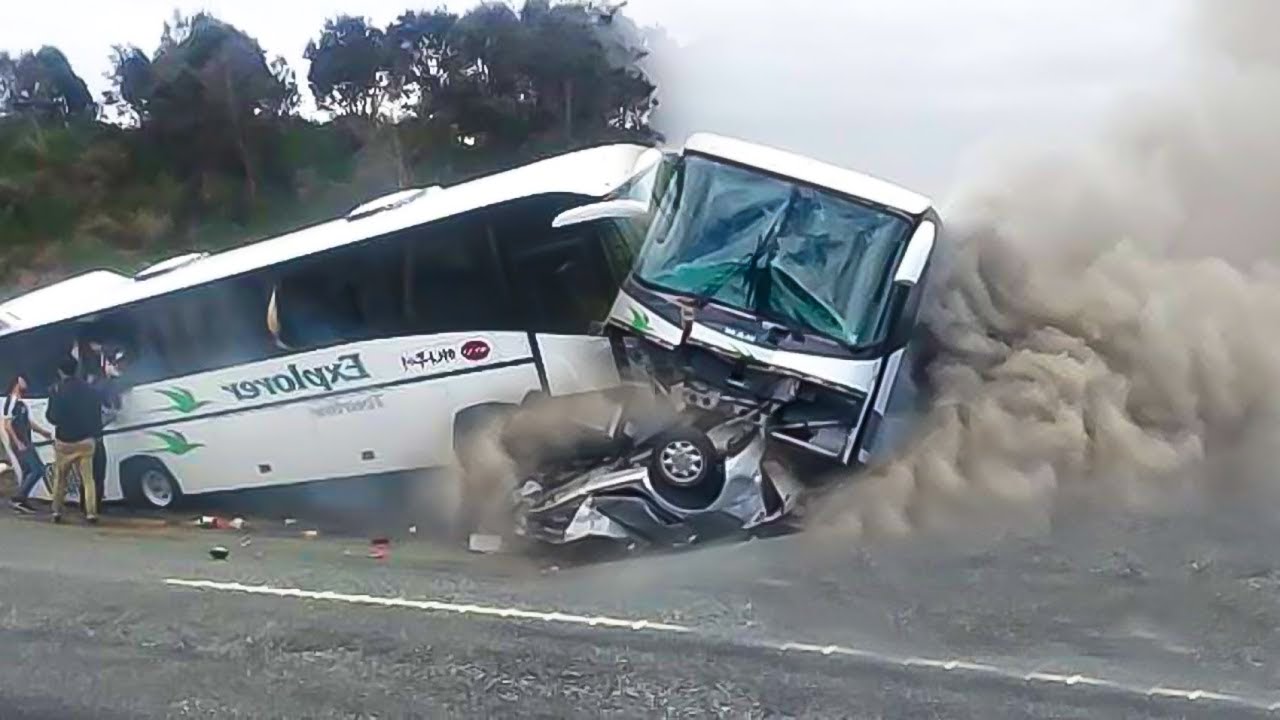 IDIOTS IN CARS