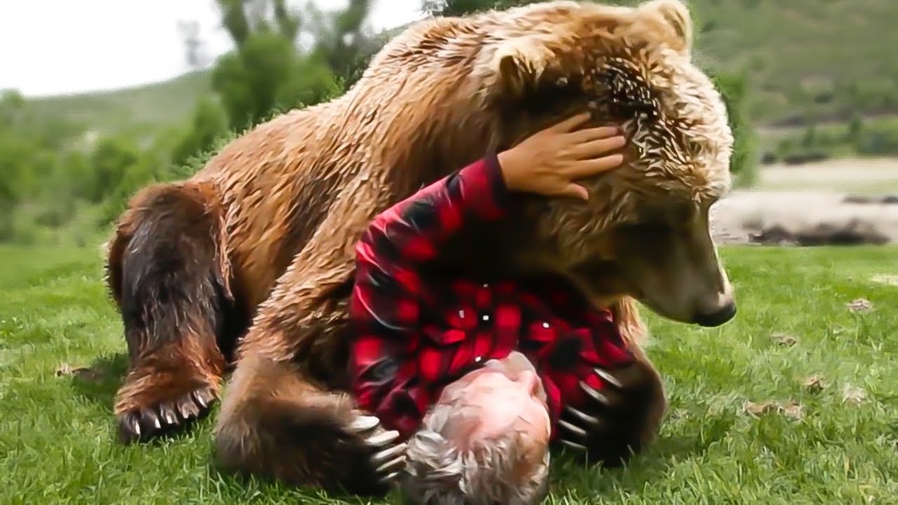 40 ANIMALS THAT ASKED PEOPLE FOR HELP